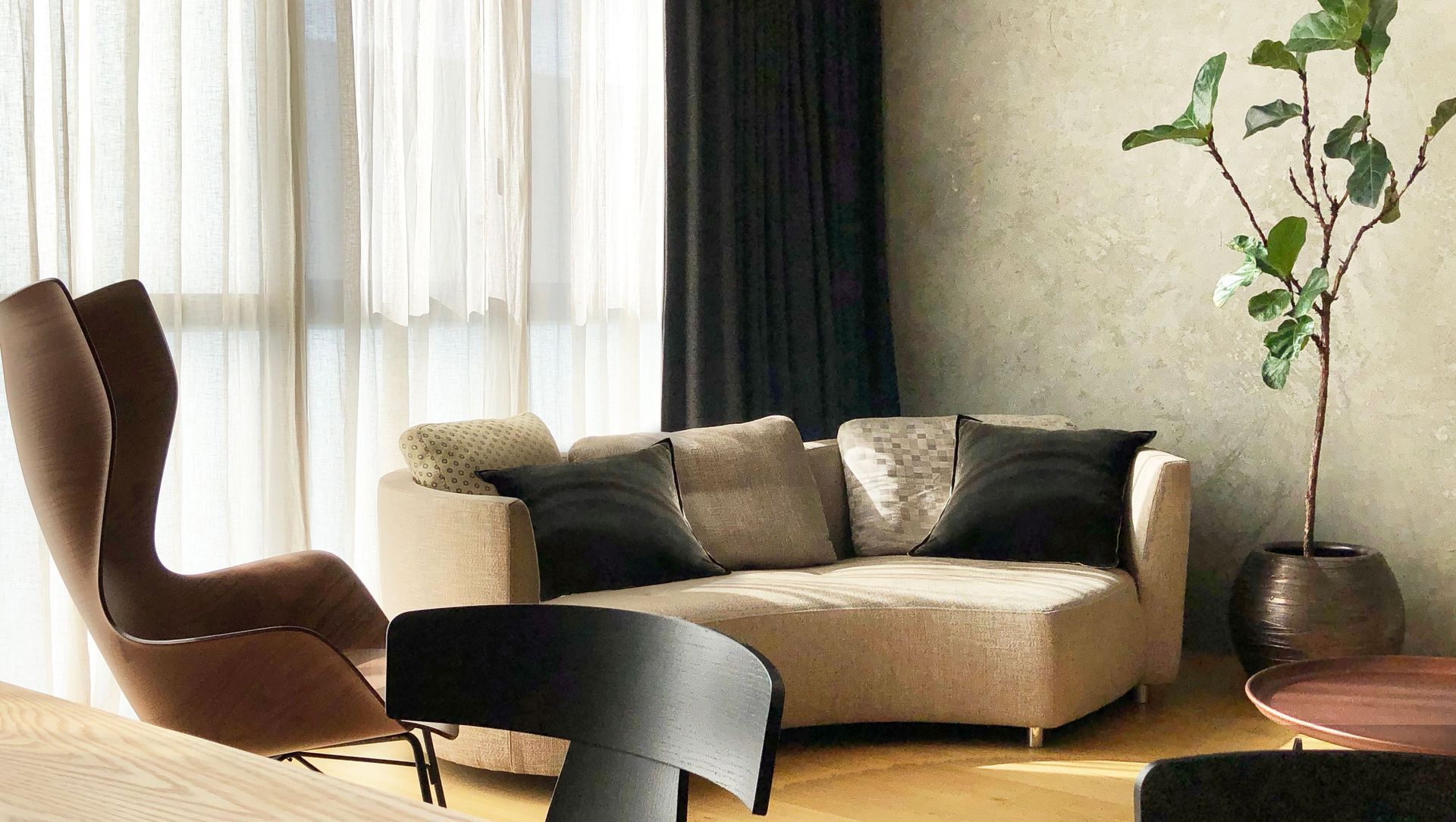 Contemporary Apartment, Grey Lynn banner