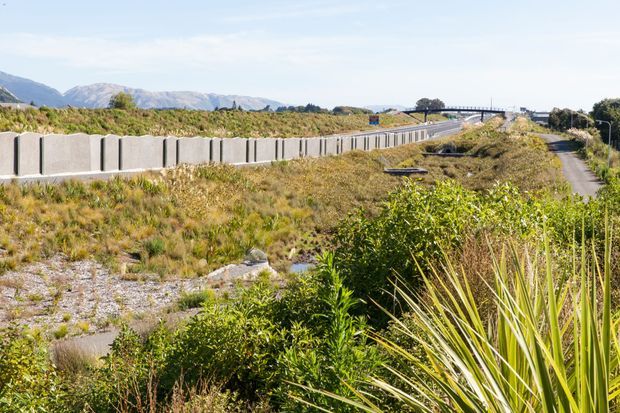 A landscaped infrastructure corridor with native planting, a long segmented concrete noise barrier, paved shared path, and a raised roadway or bridge extending toward rugged mountains in the distance. The scene is bright and expansive, with prominent grasses, shrubs, and flax-like plants in the foreground.