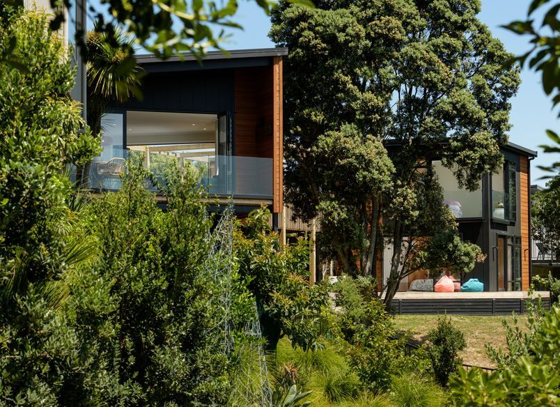 Casa del Arbol