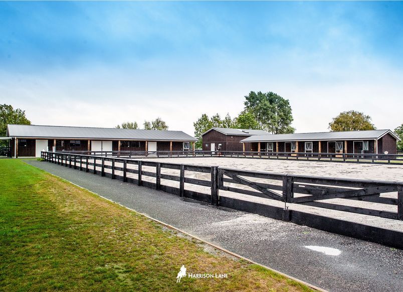 Waikato Equine Veterinary Centre