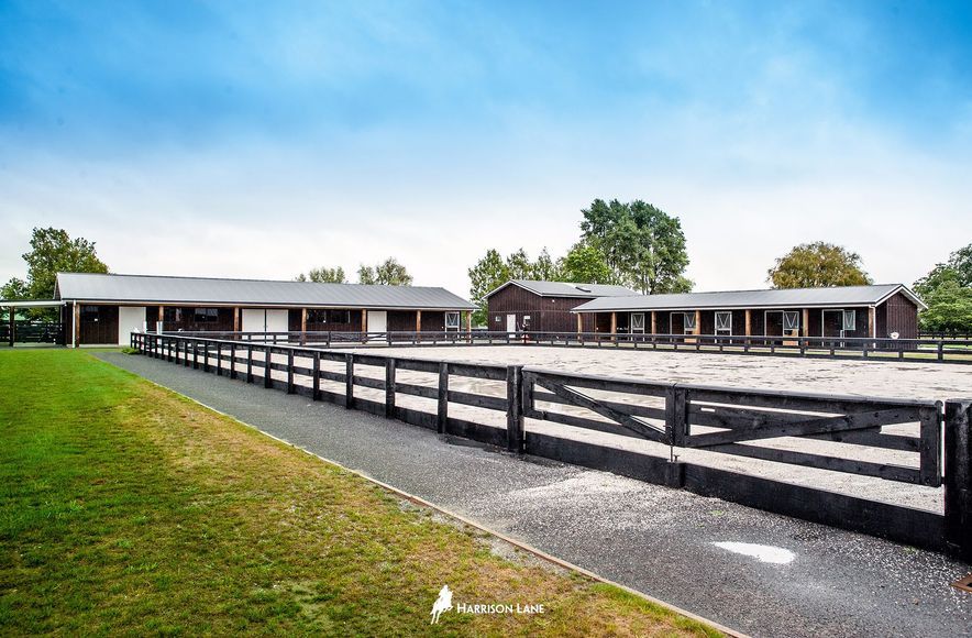 Waikato Equine Veterinary Centre