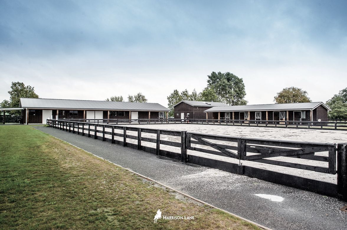 Waikato Equine Veterinary Centre