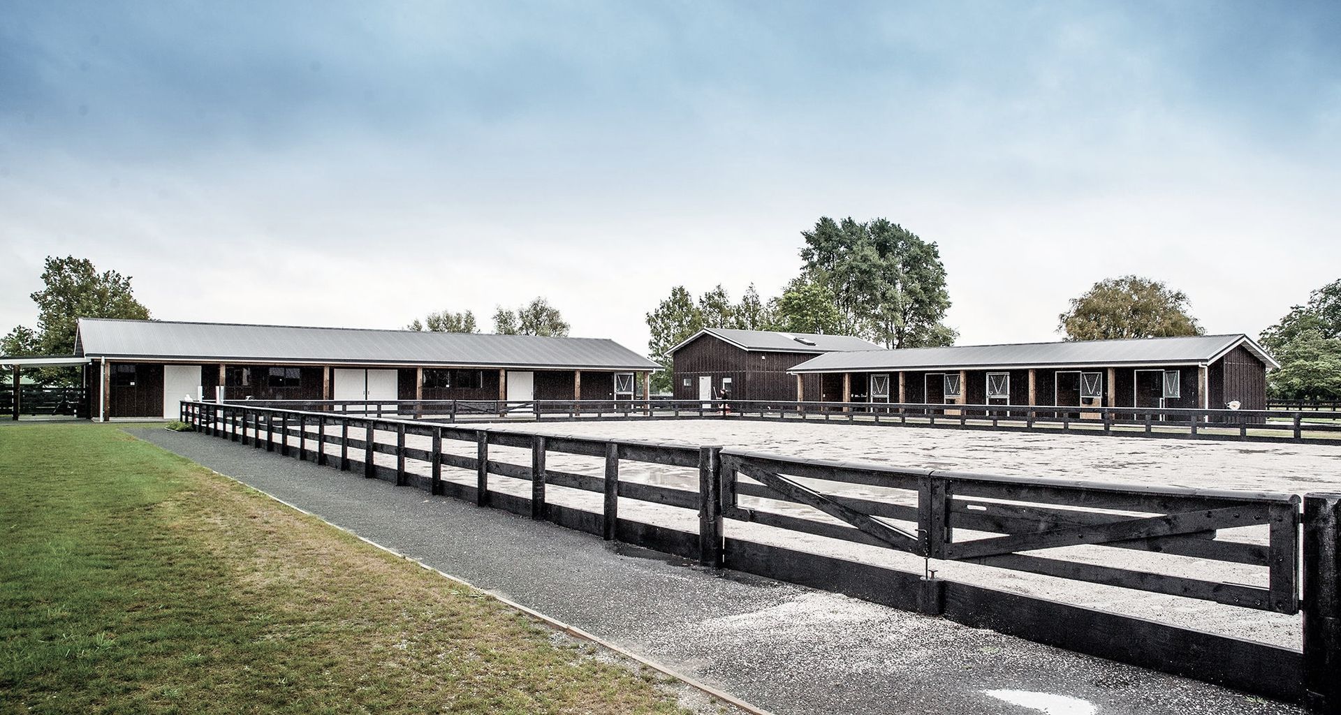 Waikato Equine Veterinary Centre banner