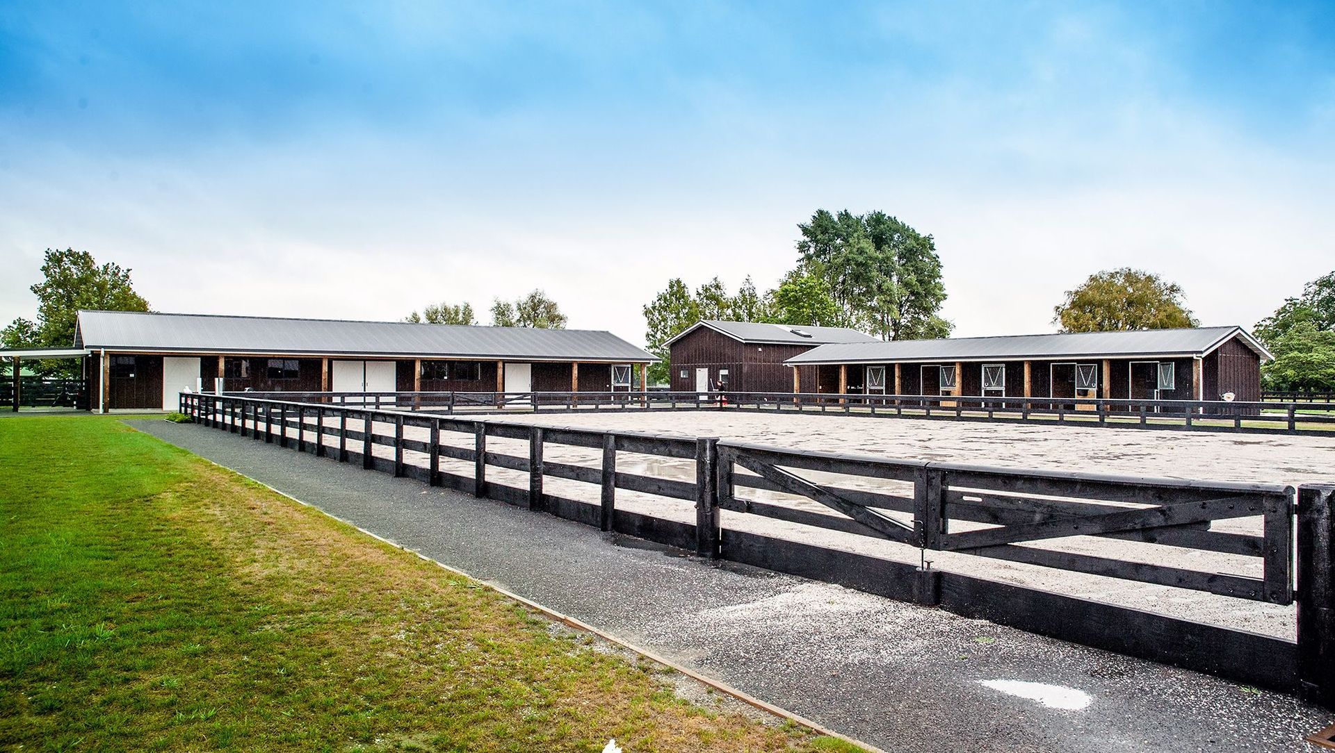 Waikato Equine Veterinary Centre banner