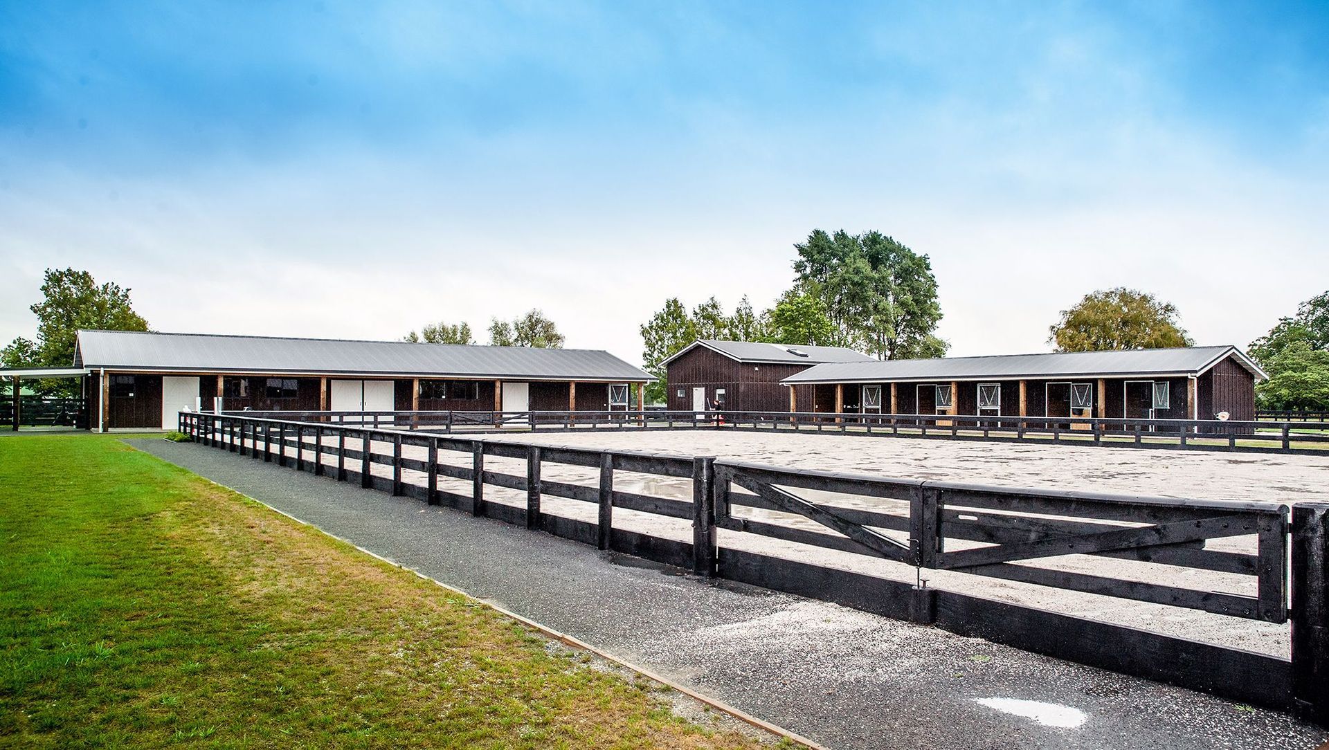Waikato Equine Veterinary Centre banner