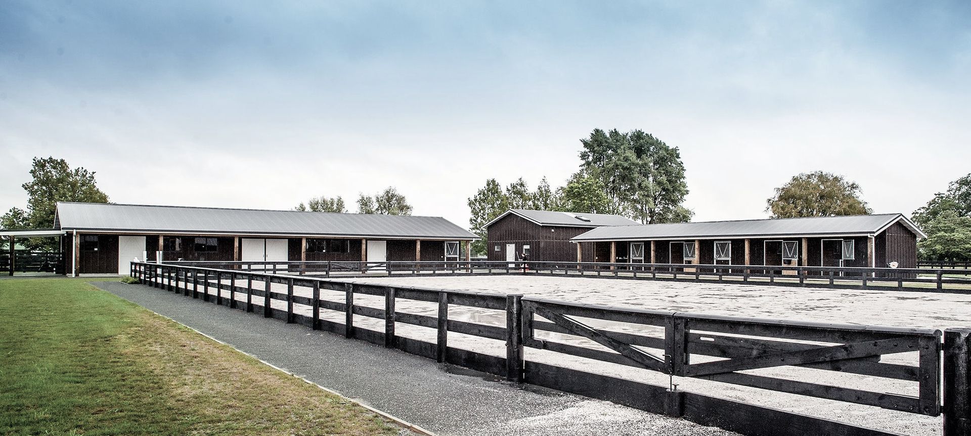 Waikato Equine Veterinary Centre banner