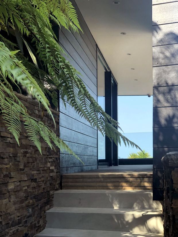 A contemporary exterior entry passage with concrete steps leading to a timber-decked landing and large dark-framed glazed doorway. The passage is bordered by rough stacked-stone retaining walls and horizontal dark cladding, with lush fern foliage creating a shaded, natural approach. Recessed ceiling lights and strong sunlight add contrast to the modern composition.