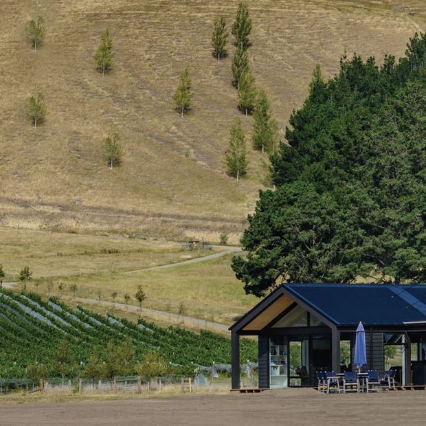 A small modern rural pavilion or farm building sits at the edge of cultivated fields, backed by dry rolling farmland and rows of young trees. The structure has a dark pitched metal roof, dark framing, extensive glazing, and an outdoor dining area with umbrellas and tables. Vineyard or crop rows are visible in the foreground and behind the building.