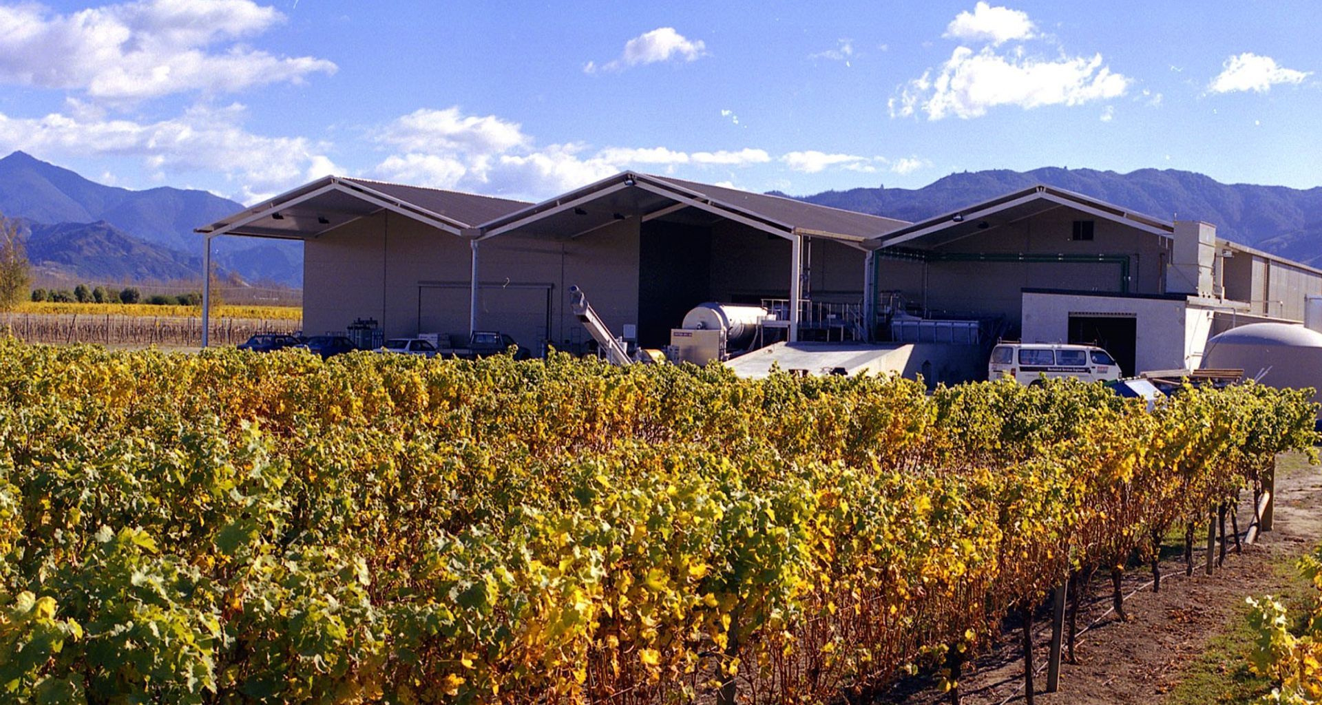 Wairau River Wines banner