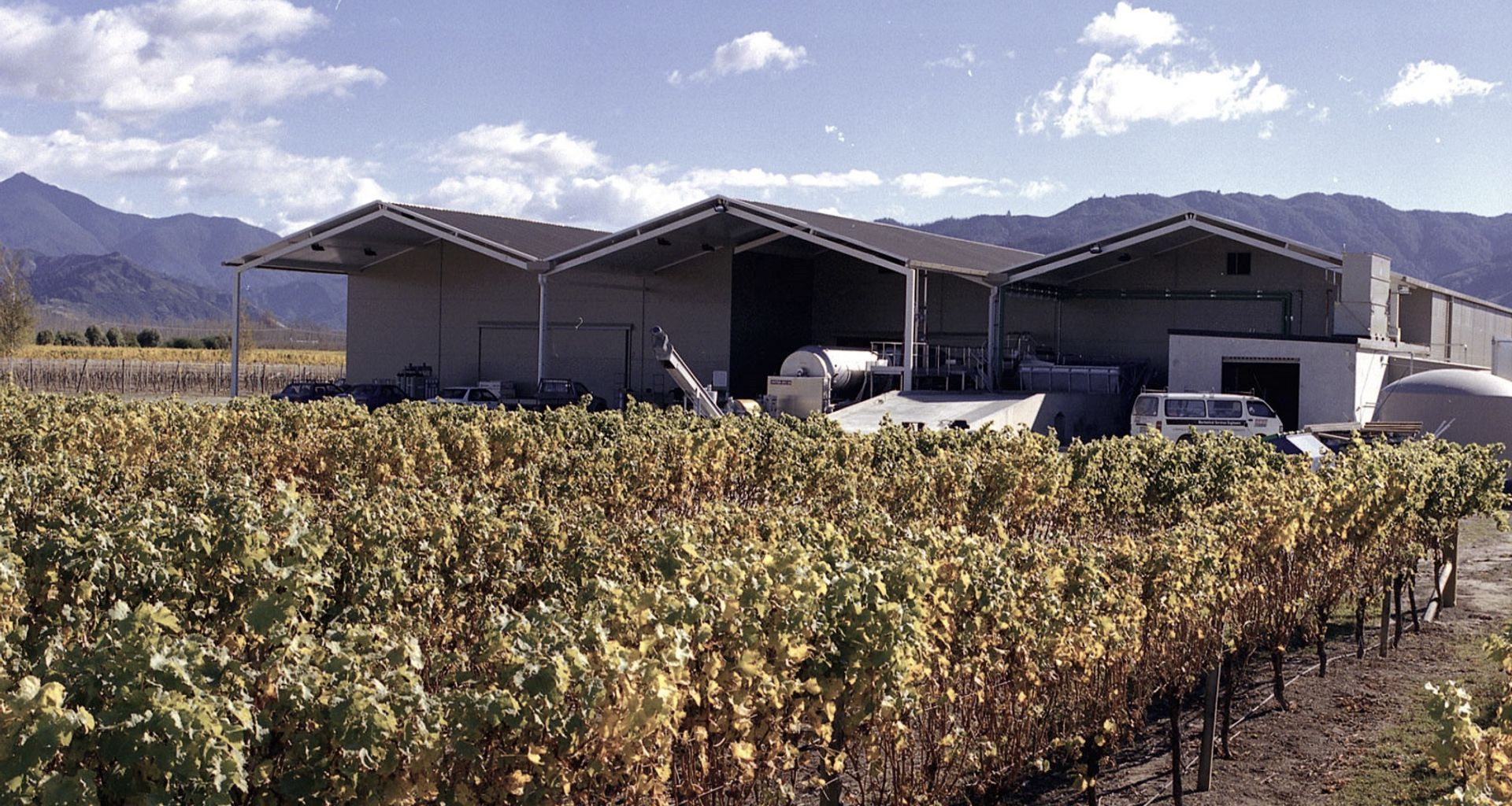 Wairau River Wines banner