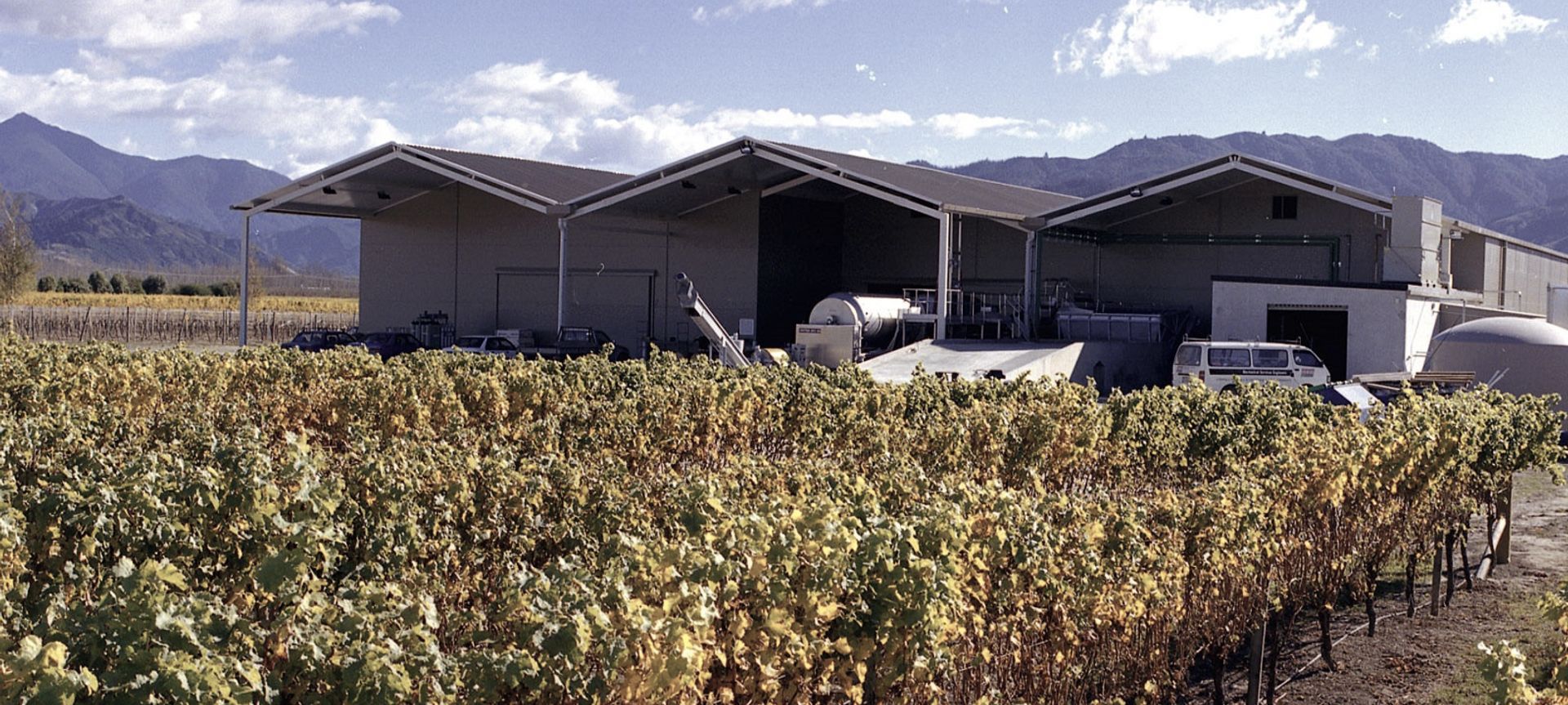 Wairau River Wines banner