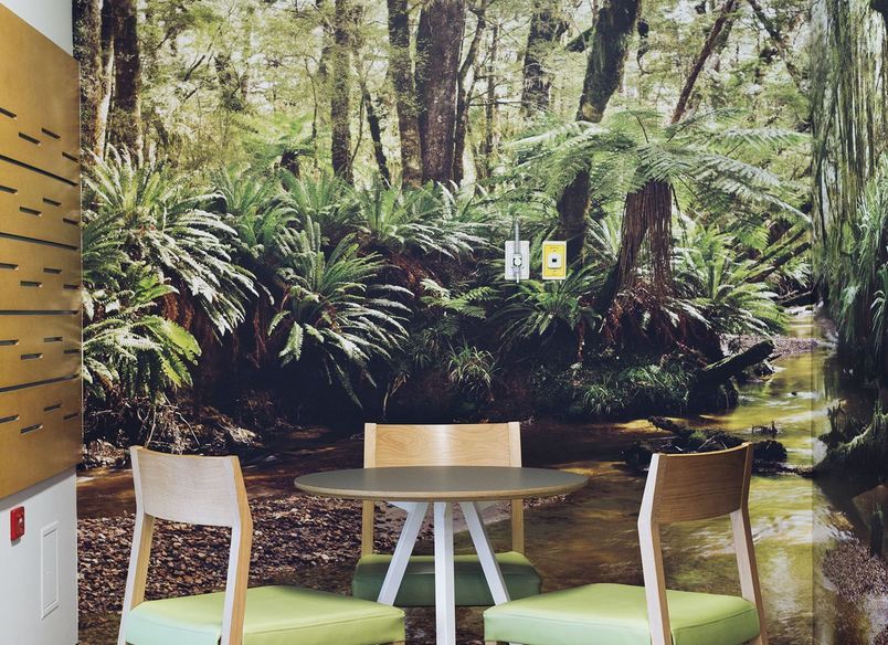 Wellington Hospital Patient Lounge