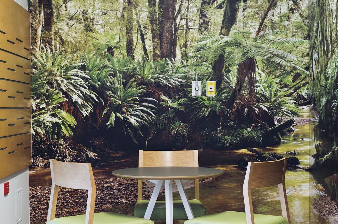 Wellington Hospital Patient Lounge