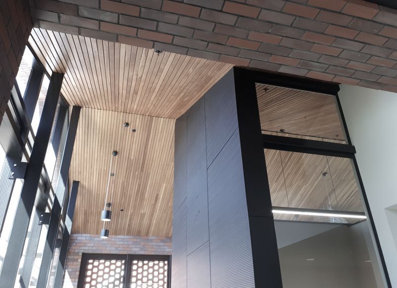 Whanganui Collegiate School - Western Hemlock