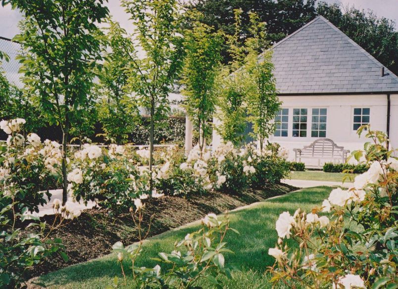 Whitford Estate | Auckland