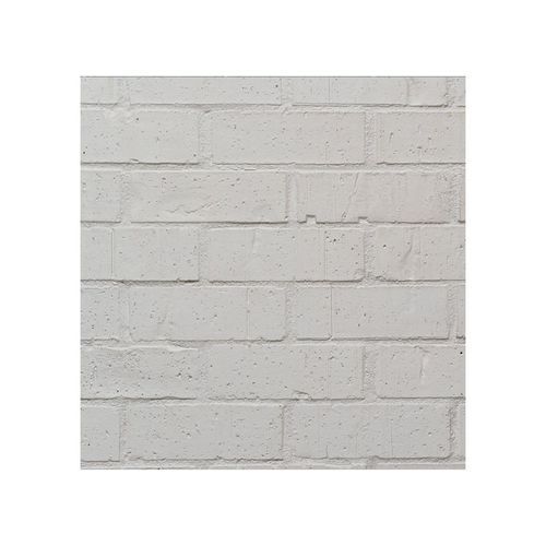 Wirecut Painter Brick
