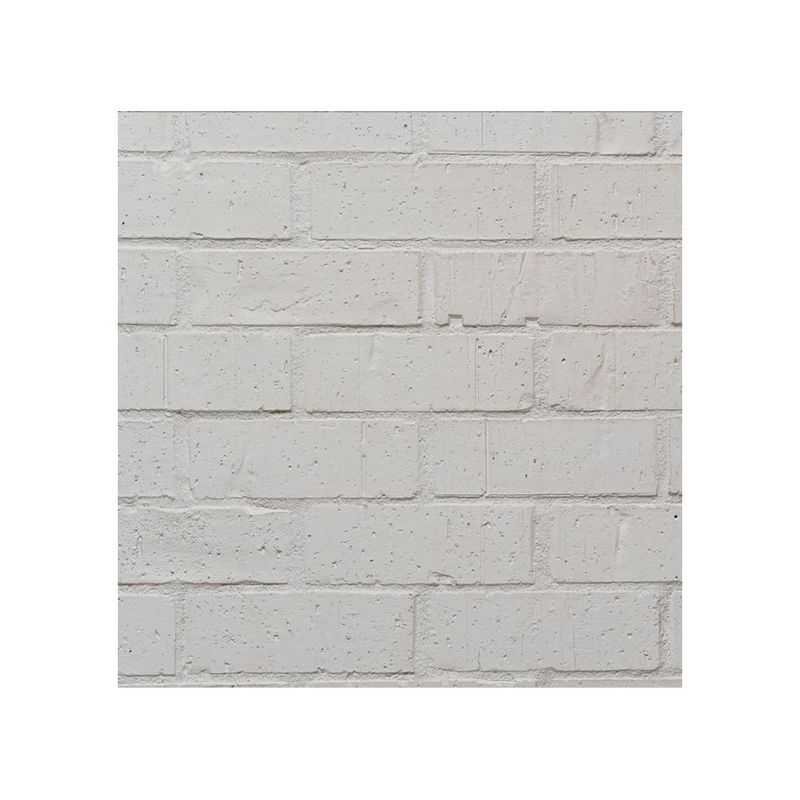 Wirecut Painter Brick