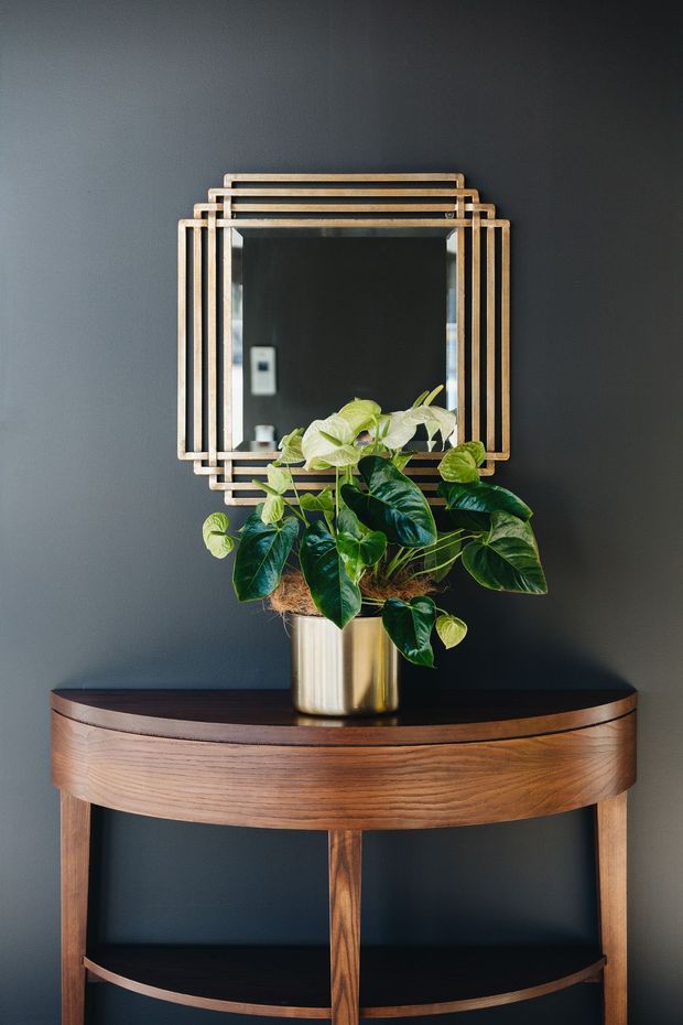 A styled interior vignette featuring a dark charcoal wall, a geometric brass-framed mirror, and a leafy green plant in a gold-toned pot placed on a curved mid-century wooden console table with dark shelves.