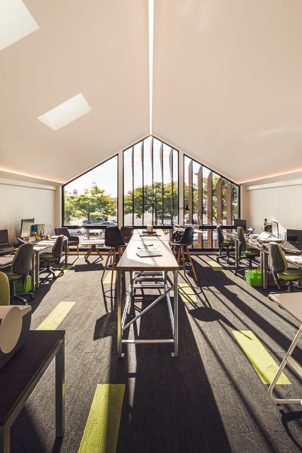 A bright contemporary open-plan office or studio with multiple workstations arranged around a central timber-topped communal table. The room has a dramatic pitched ceiling, extensive floor-to-ceiling glazing in a triangular gable wall, pale walls, dark carpet flooring with lime-green accent strips, and strong daylight creating long shadows. Black-framed glazing and exposed timber structural elements are prominent.