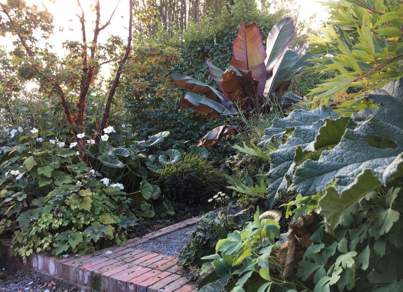 Christchurch Garden