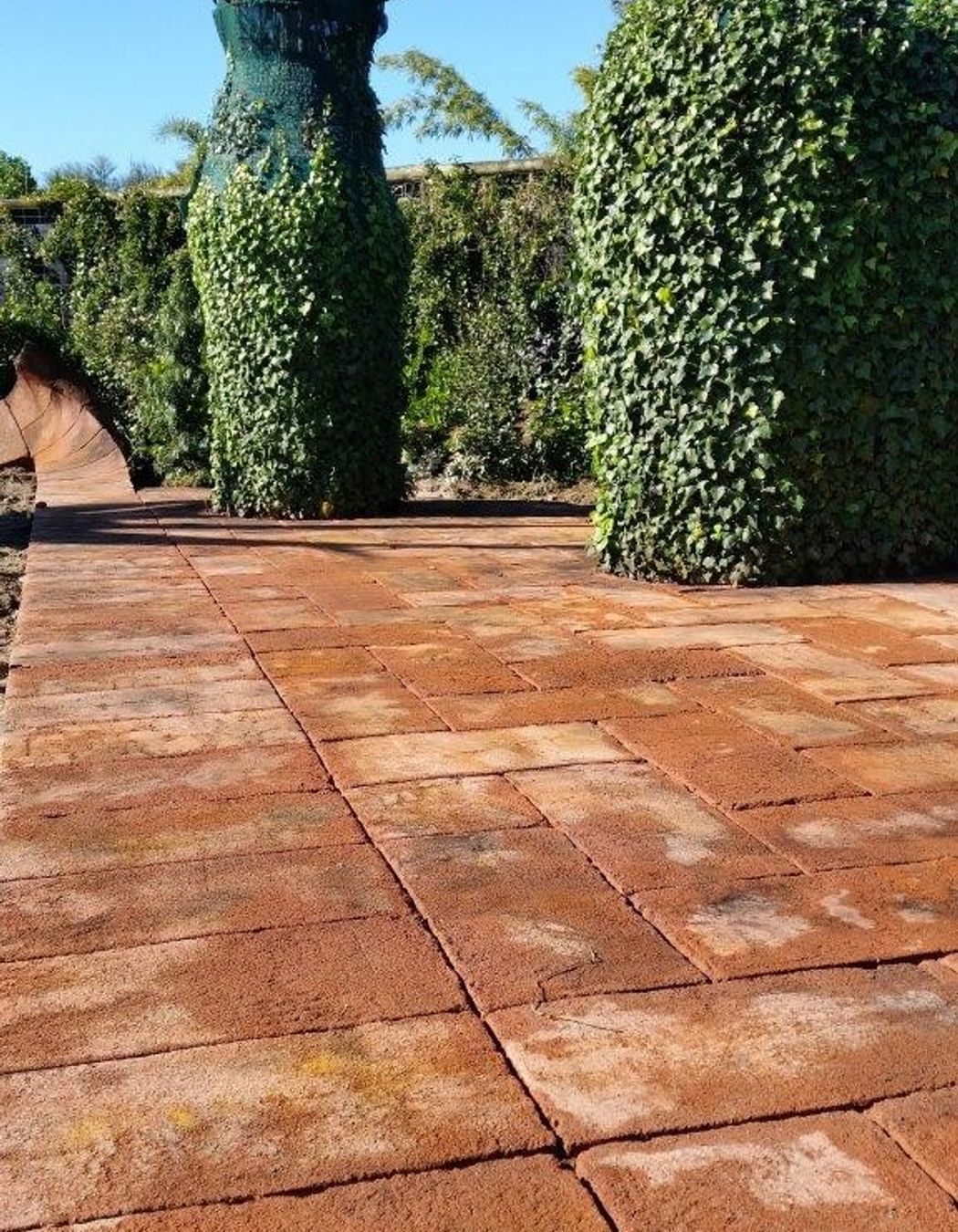 The Surrealist Garden, Hamilton, NZ