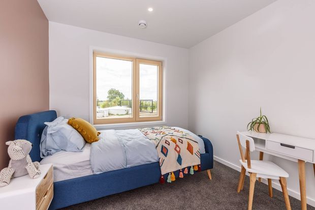 A bright, compact bedroom with a blue upholstered bed, soft bedding, a patterned knitted throw and plush toy. The room features a blush-pink accent wall, white walls and ceiling, grey carpet, timber-framed double glazing, and a small white desk with a wooden chair and potted plant.