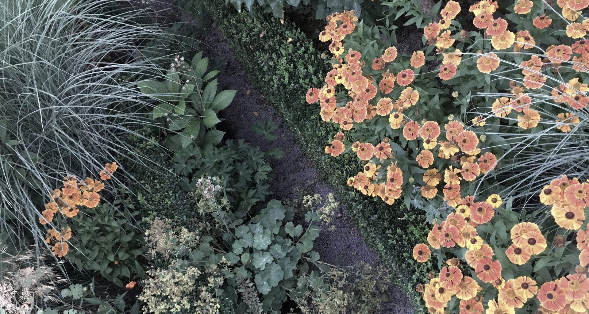 Christchurch Garden banner
