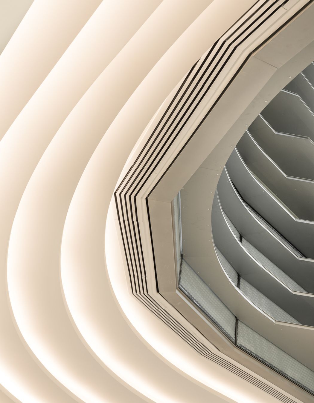 Arbo, Christchurch<br />For Seddons Fibrous Plaster