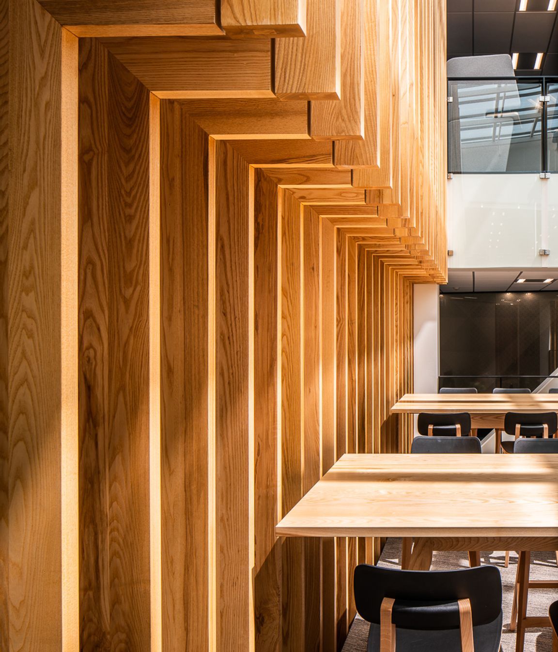 HS3, Hamilton<br />Design by Ignite Architects