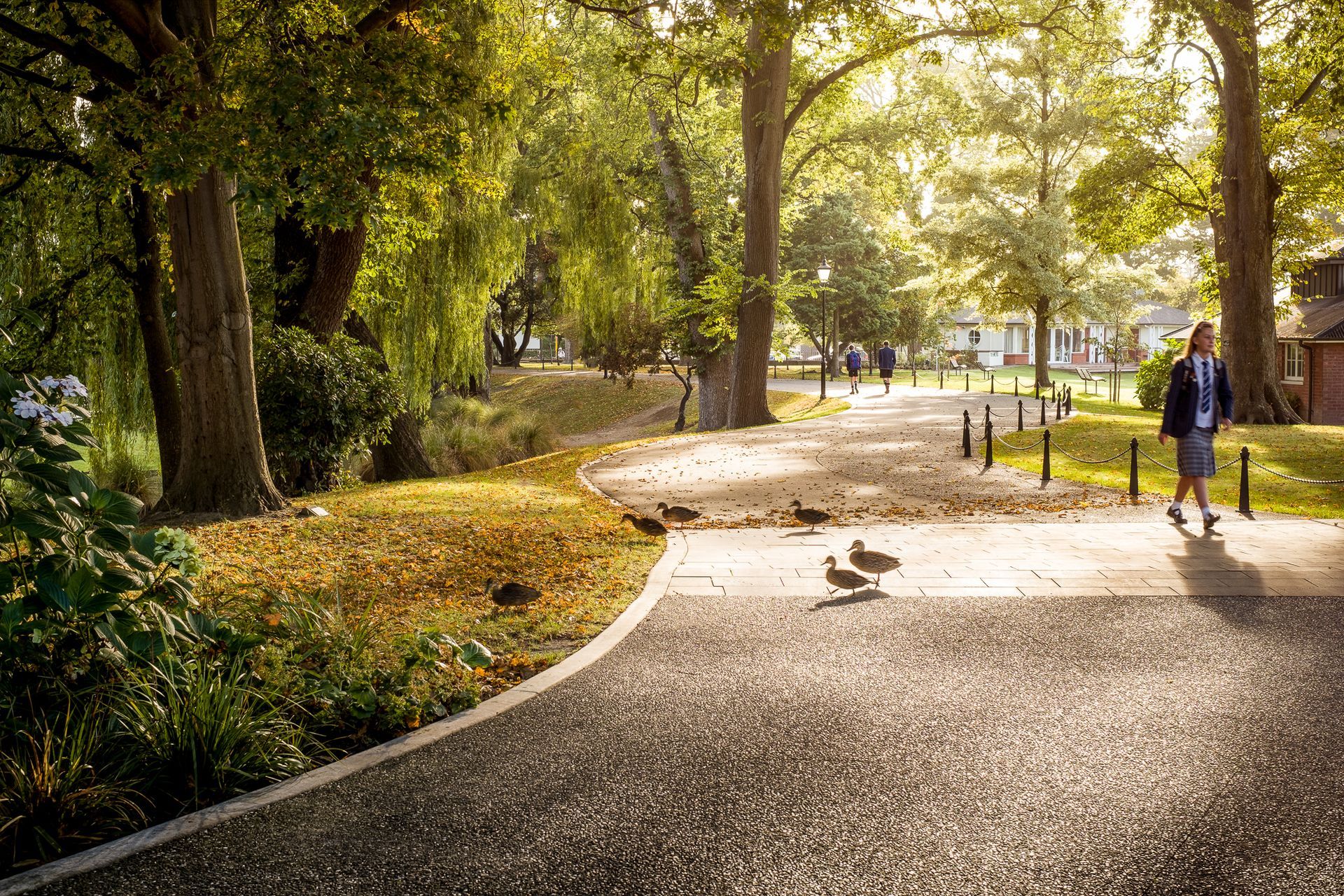 St Andrews College, Christchurch<br />Design by Jasmax
