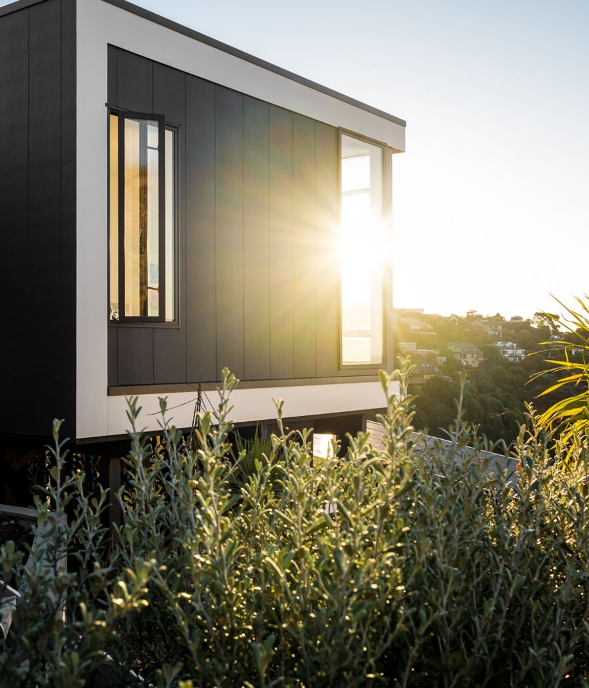 Five House, Christchurch<br />Design by Linetype Architectural
