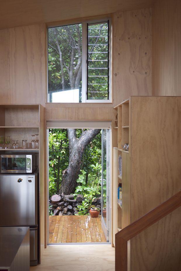 Compact timber-lined interior with plywood walls, ceiling, flooring, built-in open shelving and cabinetry. A kitchenette with stainless-steel refrigerator, microwave and glassware is visible on the left. The view is centered on a glazed doorway opening to a small timber deck and leafy garden, with a stair and timber handrail at right. An upper window provides additional natural light and ventilation.
