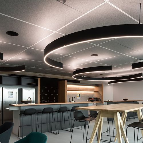 Accent Acoustic Ceiling Tiles