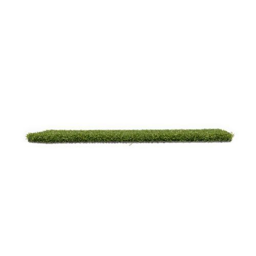 PowerPlay 16 - Sports Turf