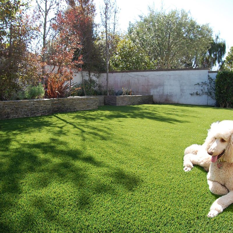 Summer Envy 44 Artificial Grass