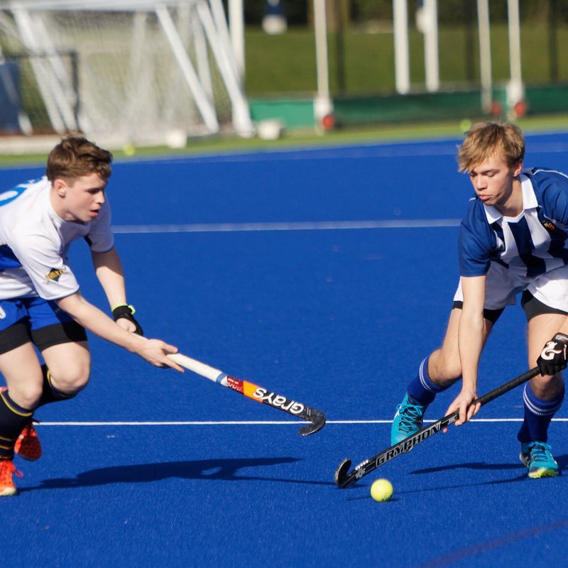 Evo Pro Artificial Grass