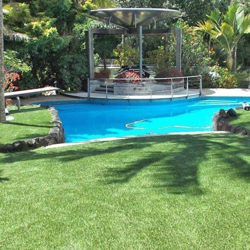 Turf for Residential Landscapes