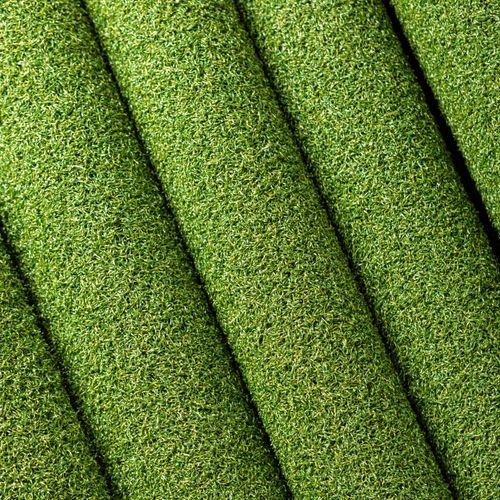 Trophy Artificial Grass