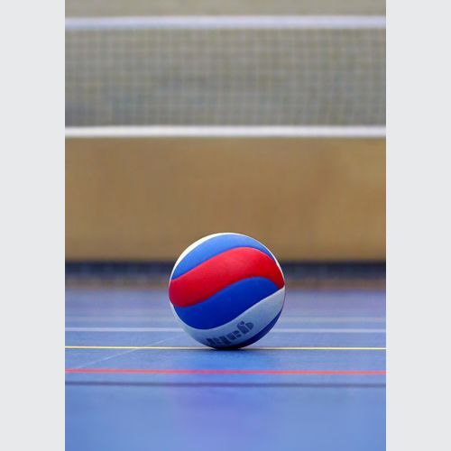 Volleyball Artificial Turf | Sports Grass by SmartGrass
