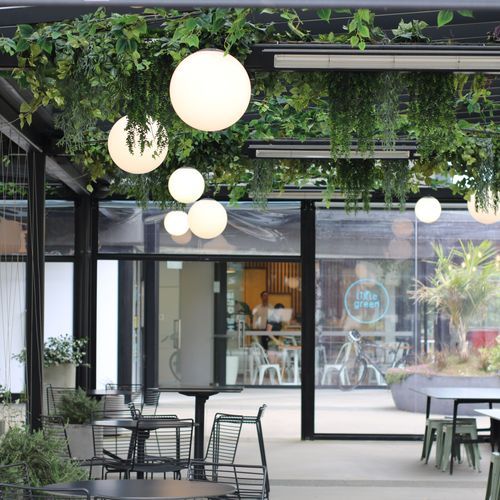 Artificial Plant Solutions | Hire Plants