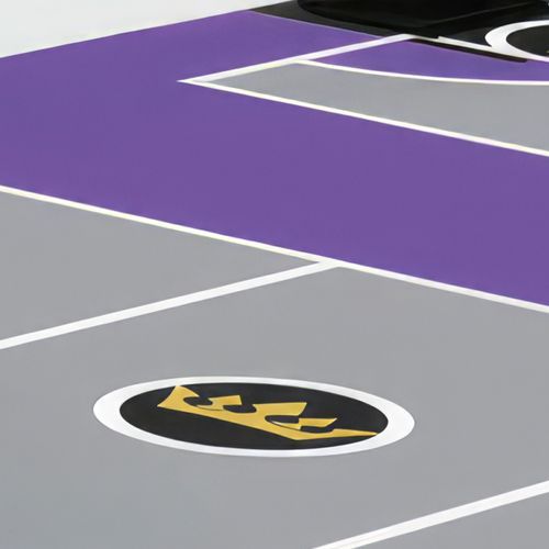 Multisport Courts