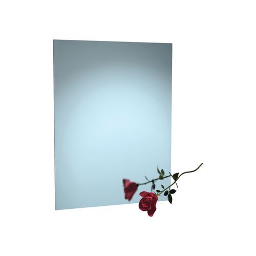 Stainless Steel Framed Mirror