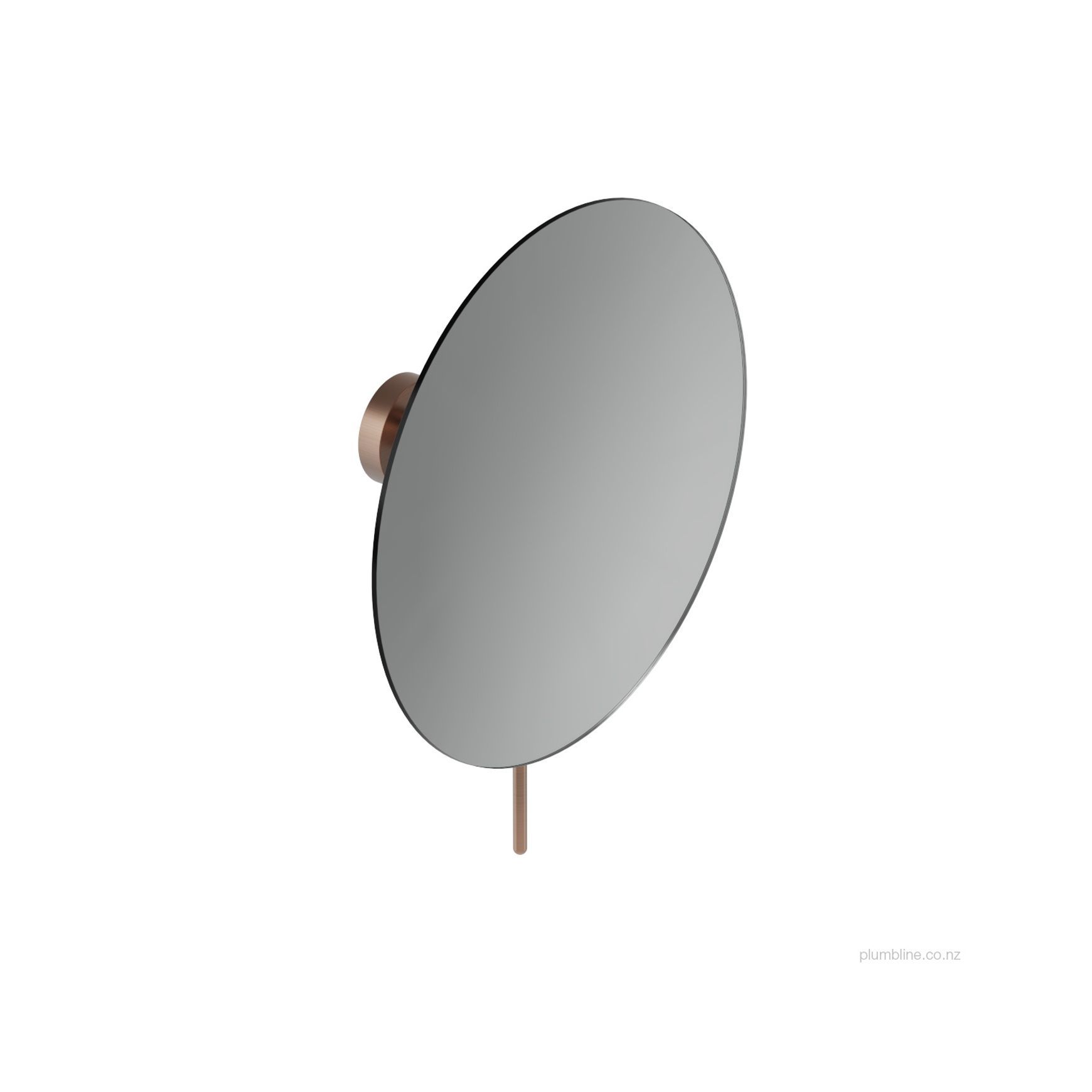 Buddy Wall Mount Magnifying Mirror