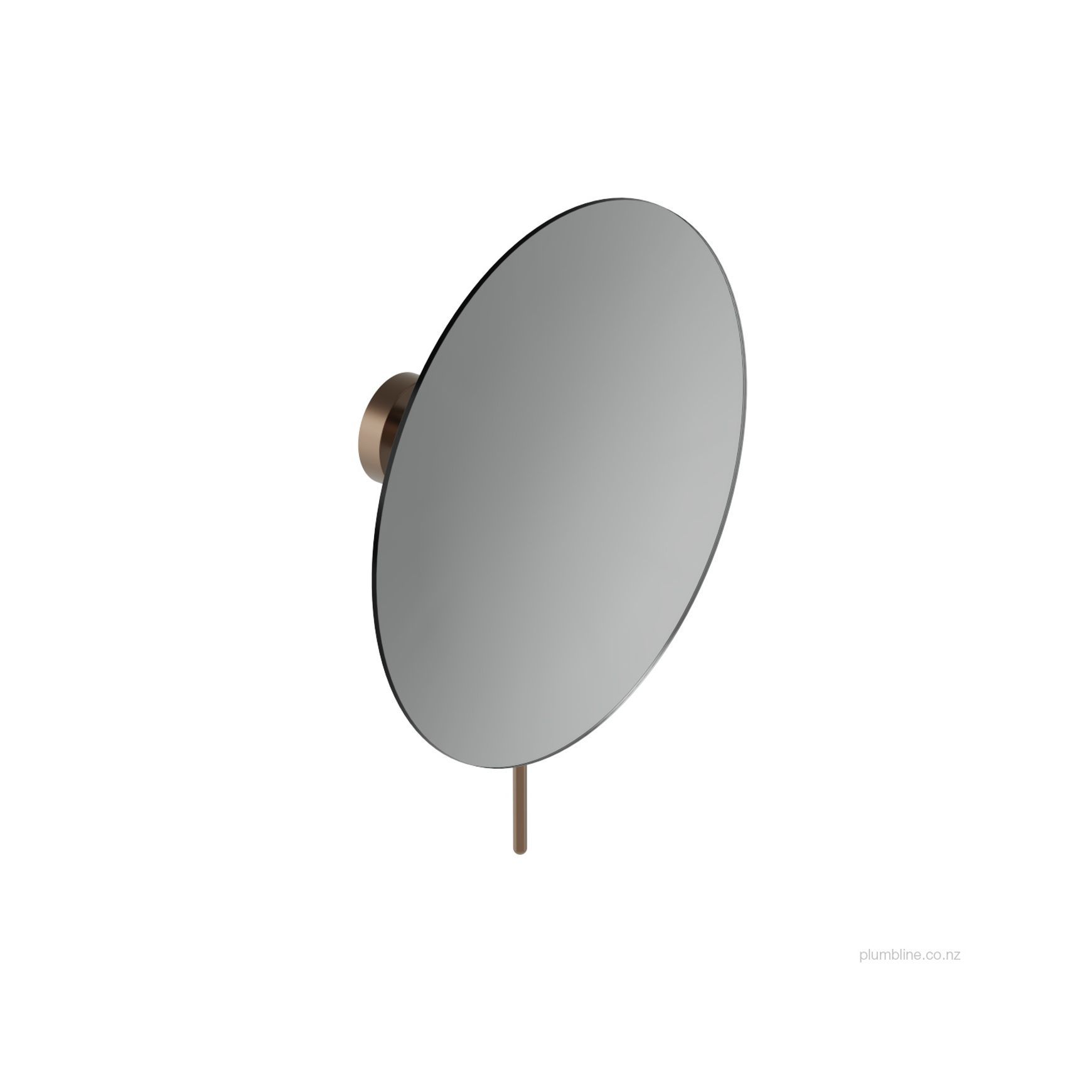 Buddy Wall Mount Magnifying Mirror