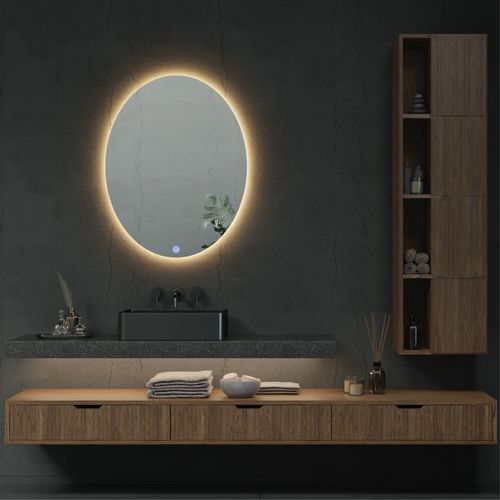 Titan Oval LED Mirror 700mm x 900mm