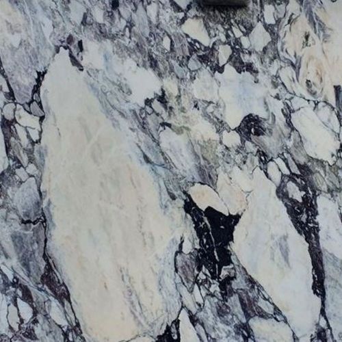 Calacatta Viola - Platinum Marble