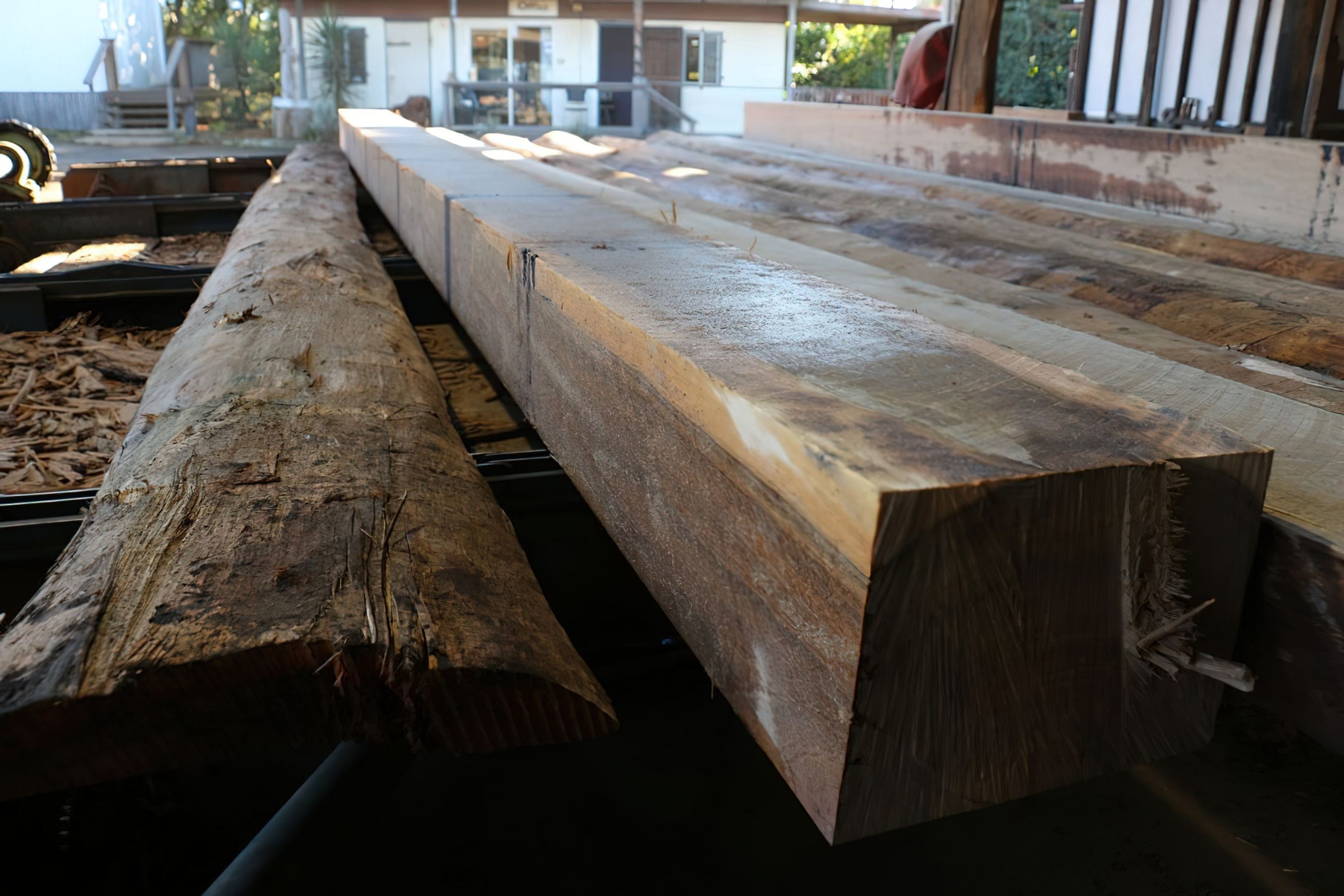 Structural Hardwood - Spotted Gum / Grey Iron Bark