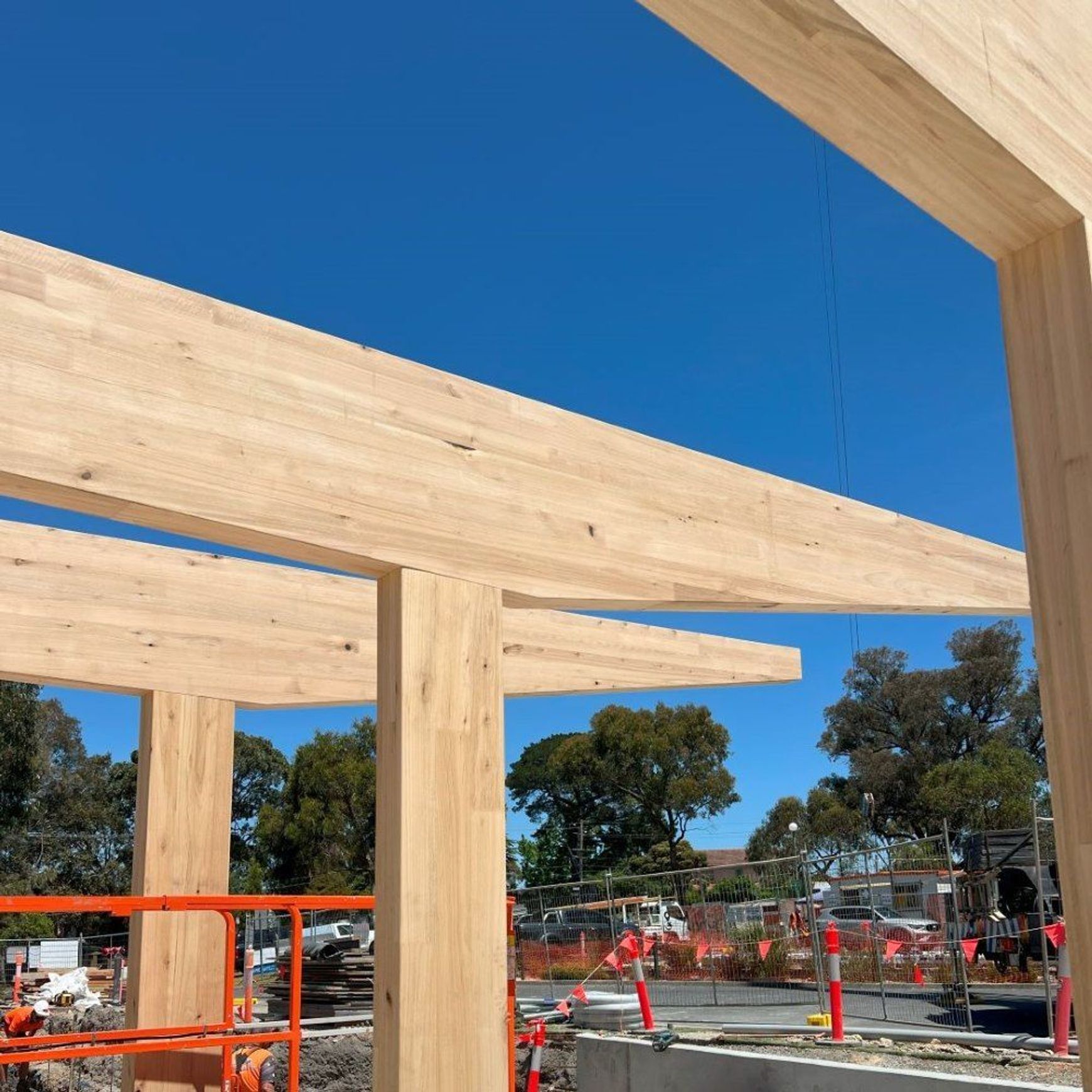 Plantation Oak Timber