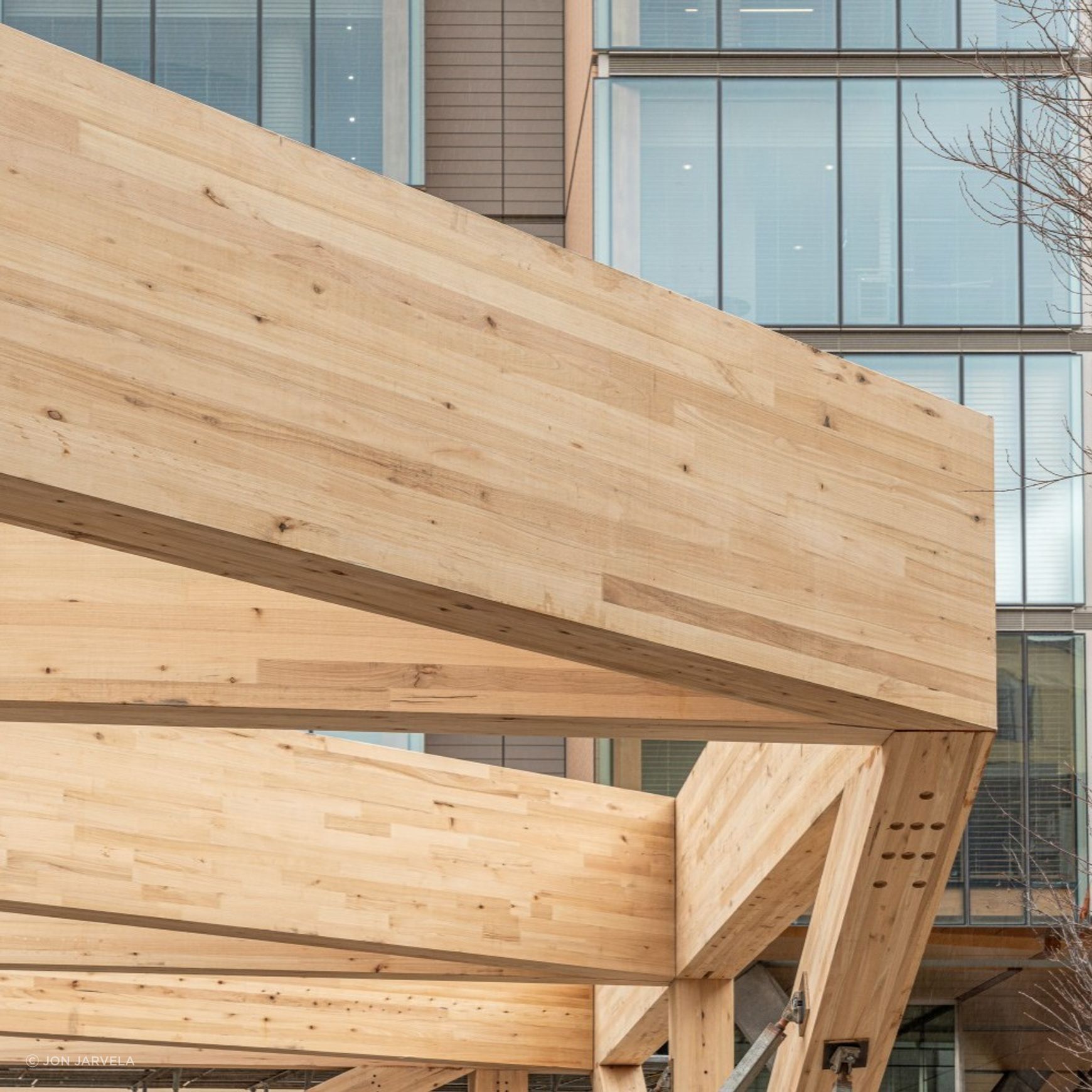 Plantation Oak Timber