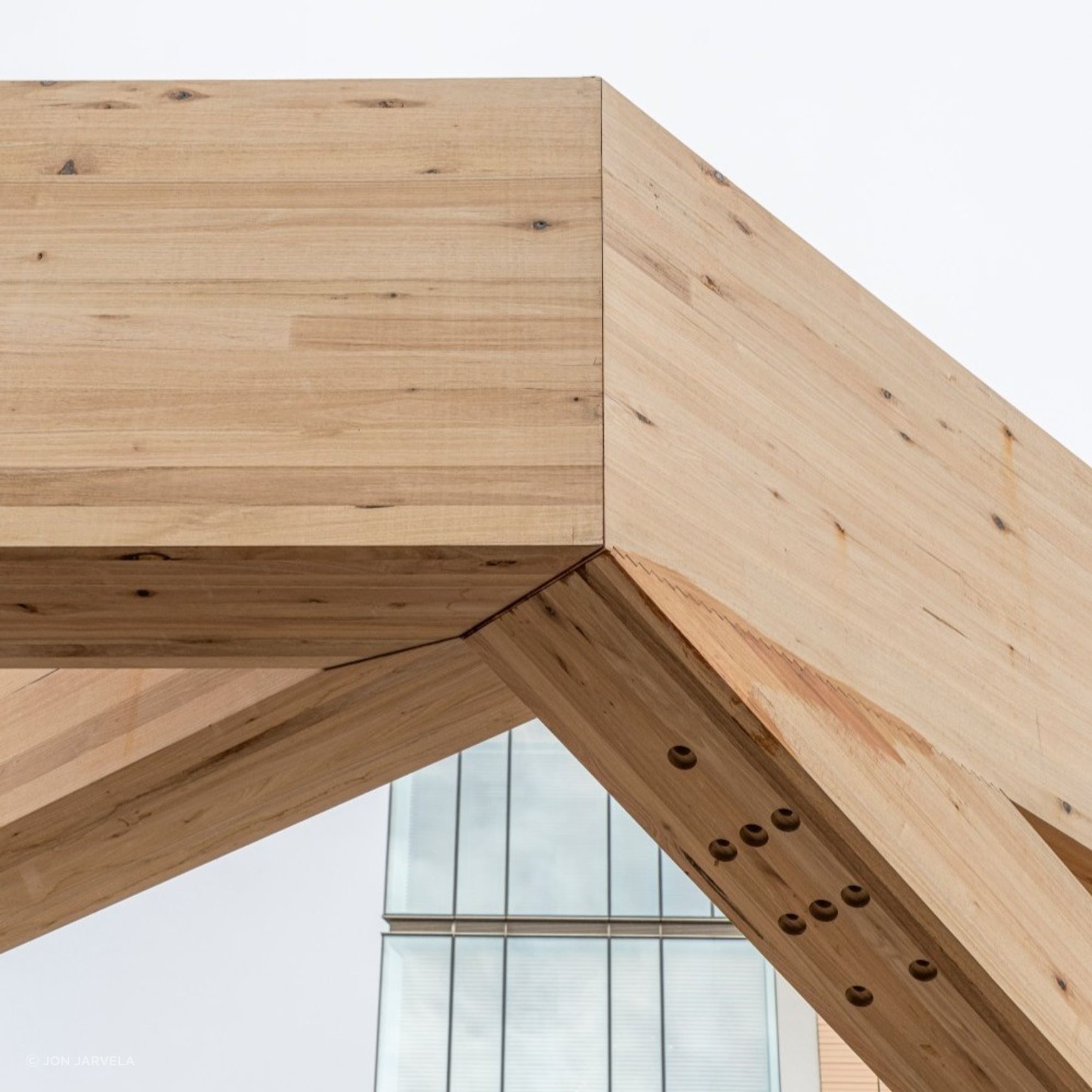 Plantation Oak Timber